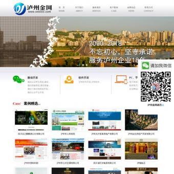 泸州网站建设相关网站赏析 - 重庆网站建设制作